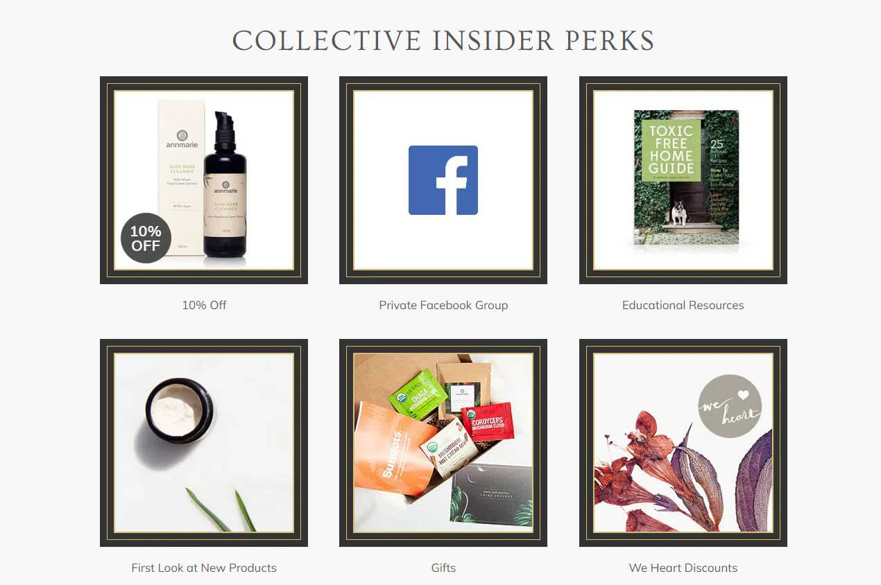 annmarie skincare insider tiered rewards (1)