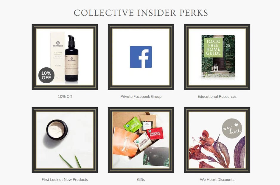 annmarie skincare insider tiered rewards (1)