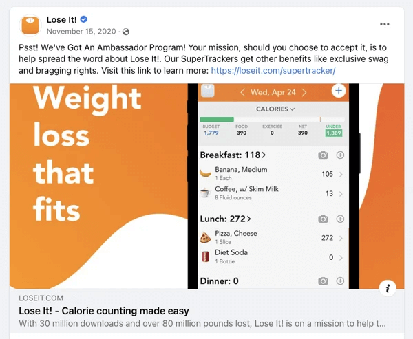 loseit ambassador program example