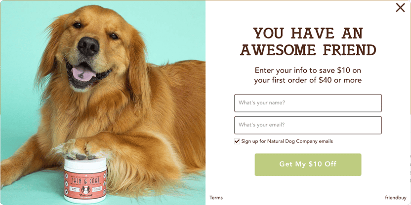 referral dog